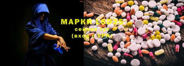 спиды Алзамай