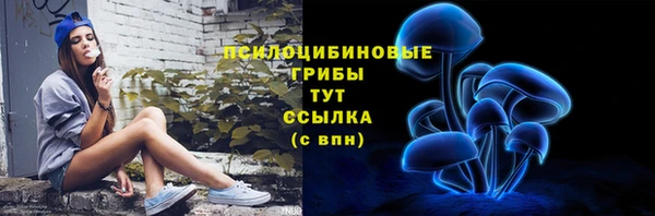 спиды Алзамай