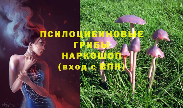 спиды Алзамай