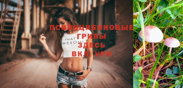 бутират Алексеевка